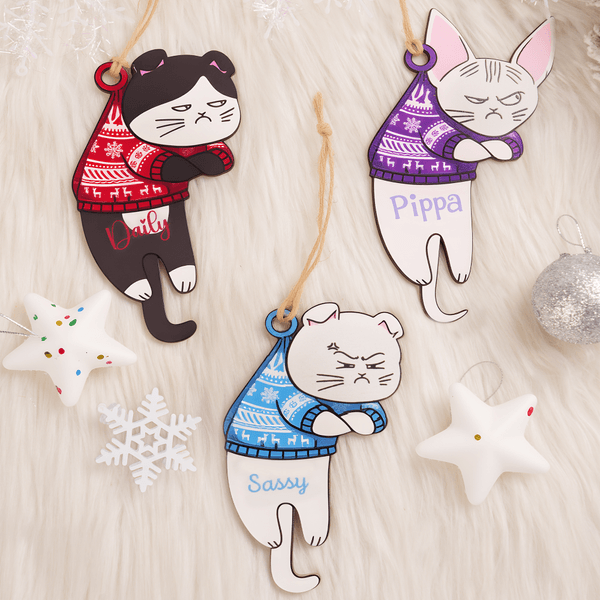 Personalized Funny Expression Cat Wooden Ornament with Name Home Decor Christmas Gift for Cat Owner Lover