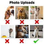 Foto personalizzate del volto di un animale domestico con zampa Morbido pigiama a maniche lunghe con nome Regalo di compleanno per gli amanti degli animali domestici