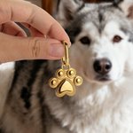 Personalized Bone Drunmstick Paw Print Shape Anti-Loss Pet Name Tag with Engraved Number and Address Daily Use Adoption Birthday Gift for Pet Owners