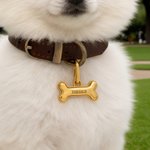 Personalized Bone Drunmstick Paw Print Shape Anti-Loss Pet Name Tag with Engraved Number and Address Daily Use Adoption Birthday Gift for Pet Owners
