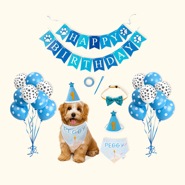 Gepersonaliseerde Cake Ballon Sequin Strikje Pet Slabbetje Pet Verjaardag Set met Naam Verjaardag Pet Party Gift voor Huisdiereigenaren
