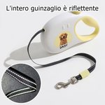 Guinzaglio personalizzato multicolore con foto e nome effetto riflettente regalo di compleanno e uso quotidiano per amanti degli animali