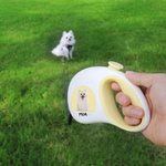 Guinzaglio personalizzato multicolore con foto e nome effetto riflettente regalo di compleanno e uso quotidiano per amanti degli animali