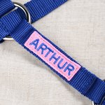 Personalised Soft Multicolour Horse Halter Noseband Protector Cover with Embroidered Text Equestrian Accessories Birthday Gift for Horse Lovers