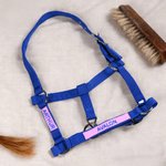 Personalised Soft Multicolour Horse Halter Noseband Protector Cover with Embroidered Text Equestrian Accessories Birthday Gift for Horse Lovers