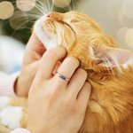 Bague en argent sterling avec nom, gravée en forme de coeur, d'ailes d'ange et de pattes, pour la perte d'un animal de compagnie.