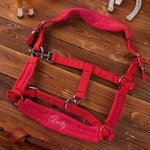 Henkilökohtainen pehmeä hevonen Halter Noseband Protector Cover kirjailtu nimi Equestrian Daily Wear syntymäpäivälahja hevosen omistajille hevosen ratsastajat
