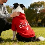 Personalized Paw Print Soft Warm Dog Cat Hoodie Pet Clothes with Yarn-Wrapped Name Birthday Pet Adoption Day Gift for Pet Lover Owner