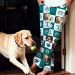 Personalized Paw Print 1-6 Photos Multicolor Plaid Women Men Pajama Pants with Initials and Names Party Birthday Gift for Pet Lovers Owners