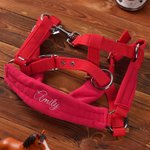 Henkilökohtainen pehmeä hevonen Halter Noseband Protector Cover kirjailtu nimi Equestrian Daily Wear syntymäpäivälahja hevosen omistajille hevosen ratsastajat
