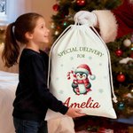 Personalised Special Delivery Cute Snowman Drawstring Canvas Gift Bag with Name Christmas Party Gift for Kids Family