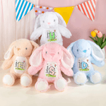 Personalised Multi-Colour Cute Peter Rabbit Plush Easter Bunny Stuffed Toy with Name Easter Gift for Newborns Children