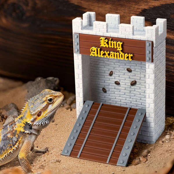 Henkilökohtainen 3D-tulostettu Castle Stone Wall Bridge Feeder Box tekstillä Reptile Habitat Adoption Anniversary Anniversary Gift for Lizard Reptile Owners