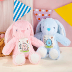 Personalised Multi-Colour Cute Peter Rabbit Plush Easter Bunny Stuffed Toy with Name Easter Gift for Newborns Children