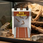 Gepersonaliseerde 3D afgedrukt kasteel stenen muur brug Feeder Box met tekst Reptile Habitat Adoptie Verjaardag Gift voor hagedis Reptile eigenaars