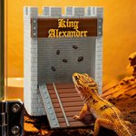 Gepersonaliseerde 3D afgedrukt kasteel stenen muur brug Feeder Box met tekst Reptile Habitat Adoptie Verjaardag Gift voor hagedis Reptile eigenaars