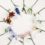 Personalizado hecho a mano Exquisito Cristal Nacimiento Flor Hoja Decoración para el hogar Aniversario Cumpleaños San Valentín Regalo para mujer