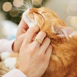 Personalized Paw Print Birthstone Sterling Silver Ring with Engraved Name Memorial Jewelry Pet Loss Sympathy Gift for Women Cat Dog Moms