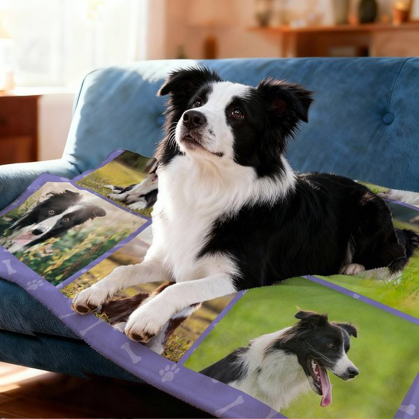 Coperta personalizzata multicolore con stampa a zampa e 8 foto per animali domestici con nome Regalo di compleanno per gli amanti degli animali domestici