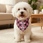 Personalized Multicolor Plaid 3D Cartoon Soft Pet Bandana with Pet Name and Text Pet Holiday Accessories Christmas Birthday Gift for Pet Owners Lovers