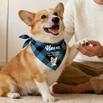 Personalized Multicolor Plaid 3D Cartoon Soft Pet Bandana with Pet Name and Text Pet Holiday Accessories Christmas Birthday Gift for Pet Owners Lovers