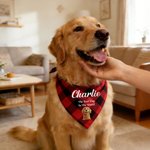 Personalized Multicolor Plaid 3D Cartoon Soft Pet Bandana with Pet Name and Text Pet Holiday Accessories Christmas Birthday Gift for Pet Owners Lovers