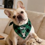 Personalized Multicolor Plaid 3D Cartoon Soft Pet Bandana with Pet Name and Text Pet Holiday Accessories Christmas Birthday Gift for Pet Owners Lovers