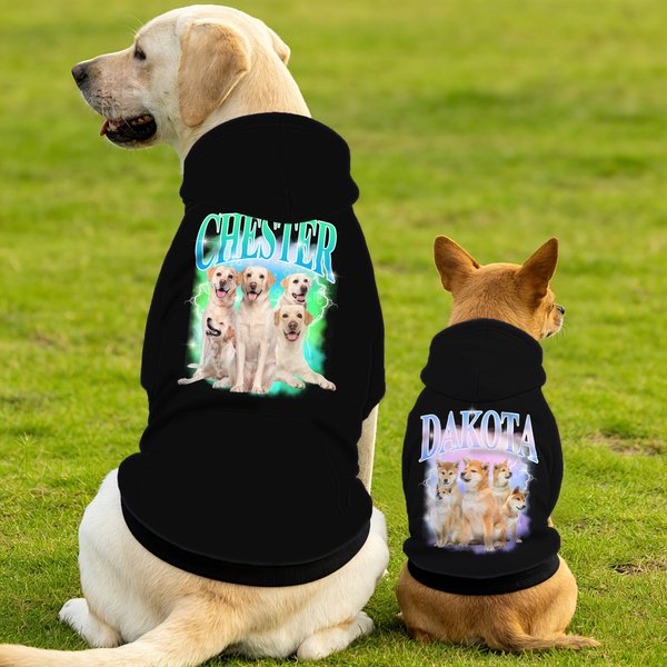 Personalised Lightning 5 Pet Photos Soft Warm Puppy Dog Hoodie Clothes with Name Adoption Anniversary Birthday Gift for Dog Lover Pet Owner