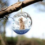 Henkilökohtainen Angel Wing Cloud Flower Akryyli Ornamentti valokuva ja teksti Home Tree Decor Memorial Sympathy Pet Loss Lahja lemmikin omistajalle