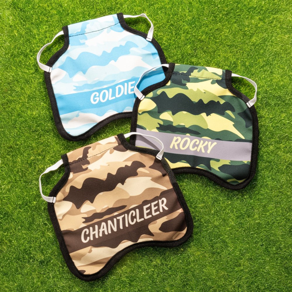 Henkilökohtainen Monivärinen Camouflage Design Hengittävä kana satula Protector nimi Pet Party lahja maanviljelijä lemmikkieläinten kana omistajille 3