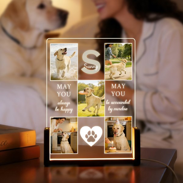 Personalisierte 5 Haustier Fotos Acryl LED Nachtlicht mit Namen Home Decor Erinnerung In Loving Memory Sympathie Geschenk für Tierliebhaber Besitzer