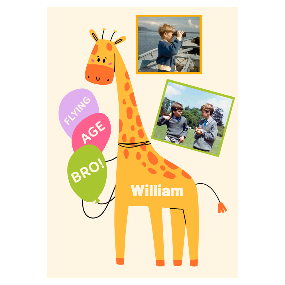 Flying Age Bro Birthday Ecard