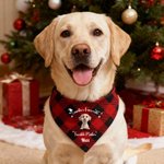 Spersonalizowana świąteczna chusta 3D Cute Cartoon Dog Cat Regulowana chusta z imieniem i tekstem Prezent urodzinowy dla właścicieli zwierząt domowych