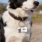 Targhetta personalizzata con foto a forma di osso per animali domestici con testo inciso Regalo di compleanno per uso quotidiano per proprietari di cani