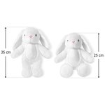 Lapin en Peluche Personnalisé avec Initiale Nom et Année Jouet Super Doux Cadeau Anniversaire Pâques pour Enfant