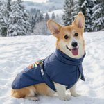 Gepersonaliseerde Hond Portret Winter Warme Winddichte Jas met Naam Outdoor Reizen Verjaardagscadeau voor Pet Lovers Pet Owners