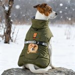 Gepersonaliseerde Hond Portret Winter Warme Winddichte Jas met Naam Outdoor Reizen Verjaardagscadeau voor Pet Lovers Pet Owners