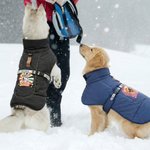 Gepersonaliseerde Hond Portret Winter Warme Winddichte Jas met Naam Outdoor Reizen Verjaardagscadeau voor Pet Lovers Pet Owners