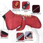 Gepersonaliseerde Hond Portret Winter Warme Winddichte Jas met Naam Outdoor Reizen Verjaardagscadeau voor Pet Lovers Pet Owners
