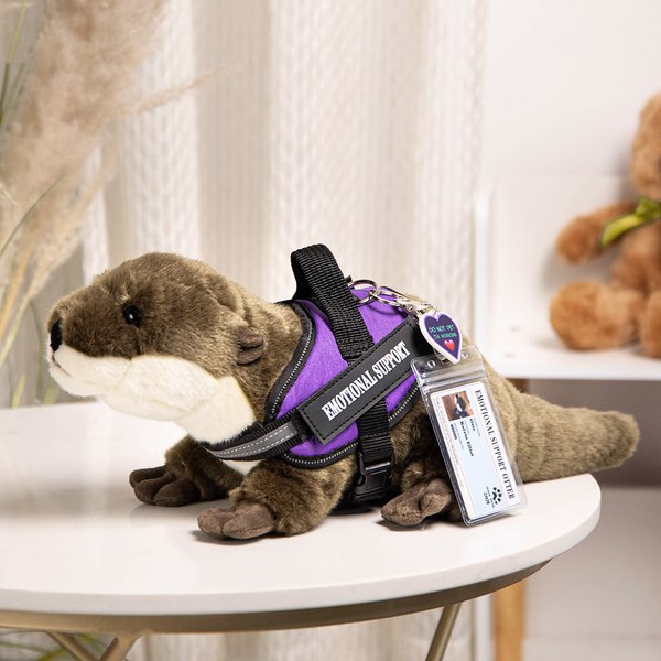 Animal en Peluche Loutre Soutien Émotionnel Personnalisé avec Nom Cadeau Anniversaire pour Ami Famille