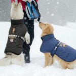 Personalized Funny Face Photo Adjustable Dog Coat Jacket with Name and Year Pet Supplies Winter Daily Use Pet Party Gift for Dog Owners Lovers
