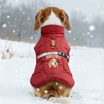 Personalized Funny Face Photo Adjustable Dog Coat Jacket with Name and Year Pet Supplies Winter Daily Use Pet Party Gift for Dog Owners Lovers