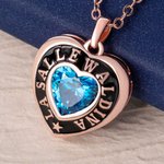 Personalized Birthstone Shield Badge Sterling Silver Necklace with Text Dainty Jewellery Class of 2026 Graduation Gift for Graduates Friends Classmates