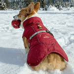 Henkilökohtainen Söpö Line Style Dog Pet Talvi tuulenpitävä takki nimi hyväksyminen vuosipäivä syntymäpäivä lahja lemmikkieläinten omistajille