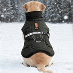 Henkilökohtainen Söpö Line Style Dog Pet Talvi tuulenpitävä takki nimi hyväksyminen vuosipäivä syntymäpäivä lahja lemmikkieläinten omistajille