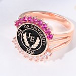 Personlig fødselsstein Initial Graduation Signet Ring med årstall og tekst Graduation Keepsake Gave til universitetsutdannede