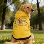 Personalised 3D Cartoon Dog Soft Warm Puppy Dog Hoodie Clothes with Name and Text Pet Party Birthday Gift for Pet Lover Owner