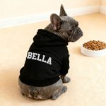 Personlig Flerfärgad Broderat Namn Mjuk Varm Hund Katt Hoodie Husdjurskläder Födelsedag Husdjur Adoption Dag Present för husdjursälskare Ägare