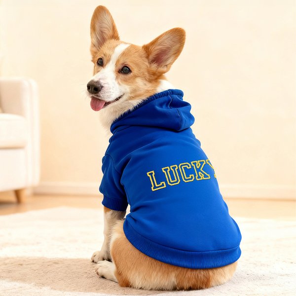 Personalized Multicolor Embroidered Name Soft Warm Dog Cat Hoodie Pet Clothes Birthday Pet Adoption Day Gift for Pet Lover Owner