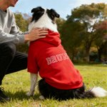 Personlig Flerfärgad Broderat Namn Mjuk Varm Hund Katt Hoodie Husdjurskläder Födelsedag Husdjur Adoption Dag Present för husdjursälskare Ägare